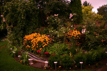 The Garden in August